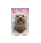 ❤︎୨୧MerryX'mas ୨୧❤︎スタンプ（個別スタンプ：6）