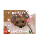 ❤︎୨୧MerryX'mas ୨୧❤︎スタンプ（個別スタンプ：7）