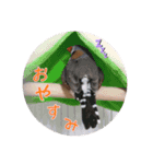 ボスとモブ子（個別スタンプ：2）