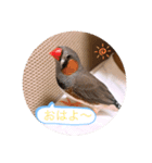 ボスとモブ子（個別スタンプ：3）