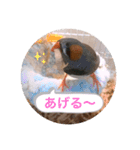 ボスとモブ子（個別スタンプ：5）