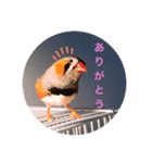 ボスとモブ子（個別スタンプ：6）