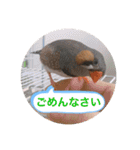ボスとモブ子（個別スタンプ：8）