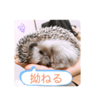 ボスとモブ子（個別スタンプ：9）