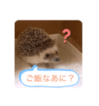 ボスとモブ子（個別スタンプ：10）