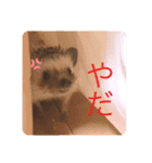 ボスとモブ子（個別スタンプ：11）