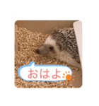 ボスとモブ子（個別スタンプ：12）