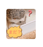 ボスとモブ子（個別スタンプ：13）