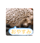 ボスとモブ子（個別スタンプ：14）