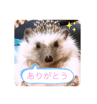 ボスとモブ子（個別スタンプ：16）
