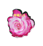 素敵な薔薇たち（個別スタンプ：1）