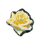 素敵な薔薇たち（個別スタンプ：2）