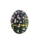 素敵な薔薇たち（個別スタンプ：3）