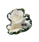 素敵な薔薇たち（個別スタンプ：4）