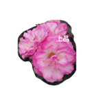 素敵な薔薇たち（個別スタンプ：5）