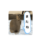 日常で使えるココスタ★★★★（個別スタンプ：2）