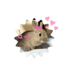 日常で使えるココスタ★★★★（個別スタンプ：3）