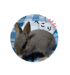 日常で使えるココスタ★★★★（個別スタンプ：4）