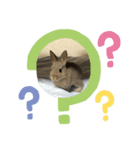 日常で使えるココスタ★★★★（個別スタンプ：6）