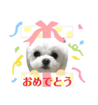 マナちゃんスタンプmana（個別スタンプ：1）