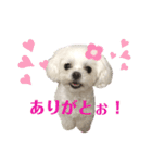 マナちゃんスタンプmana（個別スタンプ：2）