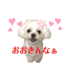 マナちゃんスタンプmana（個別スタンプ：3）
