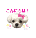マナちゃんスタンプmana（個別スタンプ：5）