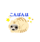 マナちゃんスタンプmana（個別スタンプ：6）