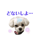 マナちゃんスタンプmana（個別スタンプ：10）