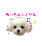 マナちゃんスタンプmana（個別スタンプ：12）