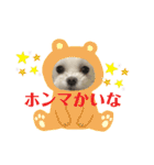 マナちゃんスタンプmana（個別スタンプ：14）