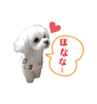 マナちゃんスタンプmana（個別スタンプ：15）