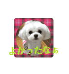 マナちゃんスタンプmana（個別スタンプ：16）