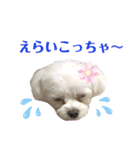 マナちゃんスタンプmana（個別スタンプ：17）
