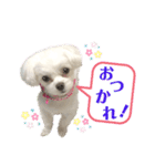 マナちゃんスタンプmana（個別スタンプ：19）