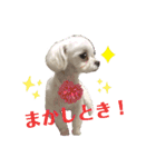 マナちゃんスタンプmana（個別スタンプ：22）