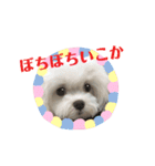 マナちゃんスタンプmana（個別スタンプ：23）