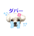 マナちゃんスタンプmana（個別スタンプ：24）
