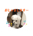 マナちゃんスタンプmana（個別スタンプ：25）