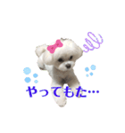 マナちゃんスタンプmana（個別スタンプ：26）