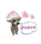 マナちゃんスタンプmana（個別スタンプ：27）