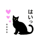 シンプル黒猫☆カスタムスタンプ（個別スタンプ：13）