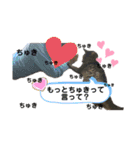 ごめ君スタンプ（個別スタンプ：8）