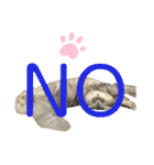 ふわもふ猫のシフォン（個別スタンプ：8）