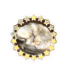 ふわもふ猫のシフォン（個別スタンプ：18）