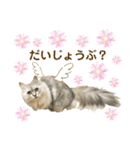 ふわもふ猫のシフォン（個別スタンプ：27）