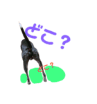 愛犬カイトのイタグレスタンプ（個別スタンプ：2）