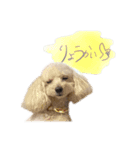 お嬢レディ（個別スタンプ：3）