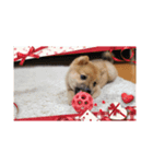 ❤︎୨୧色々スタンプ2୨୧❤︎（個別スタンプ：2）