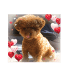 ❤︎୨୧色々スタンプ2୨୧❤︎（個別スタンプ：4）